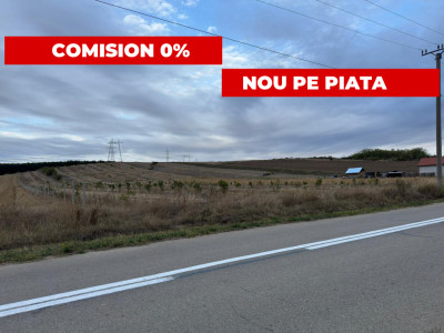 Teren 37.500 mp, 92,67m deschidere, cu plantație de nuci !