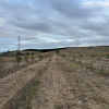 Teren 37.500 mp, 92,67m deschidere, cu plantație de nuci ! thumb 1