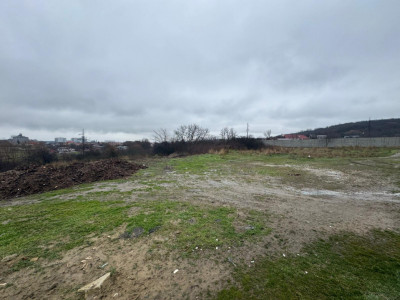 Teren 2750mp intravilan Profi Podari, 80m deschidere, 0 comision!