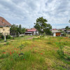 Casă și teren de vânzare 948mp– Câmpia Islaz, Oportunitate de investiție imaginea mica 7 Casă și teren de vânzare 948mp– Câmpia Islaz, Oportunitate de investiție thumb 7